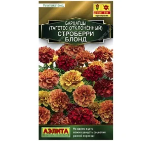 Бархатцы Строберри блонд отклоненные, 5шт (Аэлита) А0786 *1