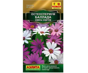 Остеоспермум Баллада,смесь сортов 10шт (Аэлита) R9415 *1