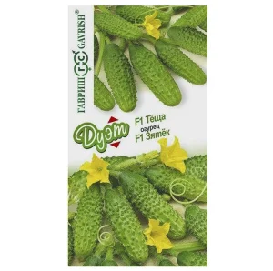 Огурец Зятек F1 10 шт.+Теща F1 10 шт. (Гавриш) Б1565 *1