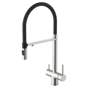 Смеситель для кухни Gross Aqua GA3188611SSB Neosteel с подключением к фильтру питьевой воды