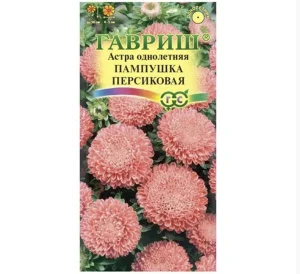 Астра Пампушка персиковая, однолетняя (помпонная) 0,3 г (Гавриш) R6955 *1