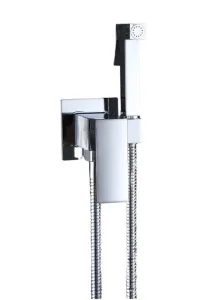 Смеситель c гигиеническим душем встраиваемый RUSH Thira TR3635-99