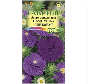 Астра Пампушка сливовая, однолетняя (помпонная) 0,3 г (Гавриш) R6347 *1