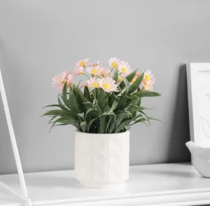 Бонсай "Астра экстра мини" 8х20 см, микс 10325069