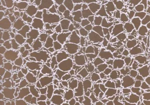 Пленка самоклеящаяся 0,45х8м золото 3801 *1/20