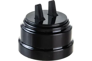 Выключатель 2-кл "Ретро" тумблерный 10А ОУ А510-2204 черный (Bylectrica) *1