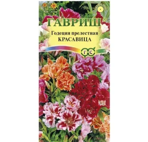 Годеция Красавица, махровая смесь 0,1 г (Гавриш) Б1106 *1