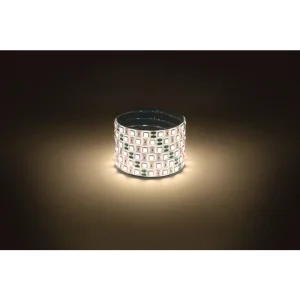 Лента светодиодная LS5050 -14,4-60-12-3000K-IP65-1 year-5m Б0059912 Эра