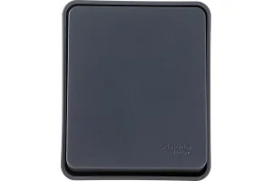 Выключатель 1-кл ОП "AtlasDesign" Profi54 IP54 10AX антрацит SE ATN544011