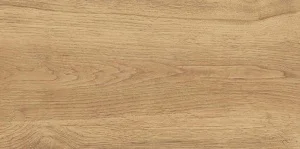 Керамогранит GlobalTile Florida_GT GT220VG 300х600х9мм 1уп=1,62м2 (9шт) бежевый