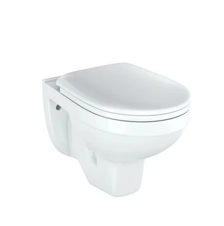 Унитаз подвесной РИО Люкс (дюропласт с микролифтом) ROSA 30745