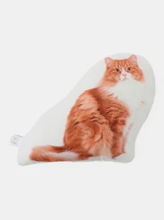 Подушка Этель "Gingerl cat" 40х33 см, 100% п/э, велюр 10864245