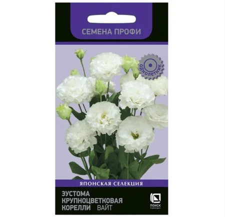 Эустома крупноцветковая Корелли Вайт 5шт. (Поиск) Р1114 *1