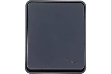 Выключатель 1-кл ОП "AtlasDesign" Profi54 IP54 10AX антрацит SE ATN544011