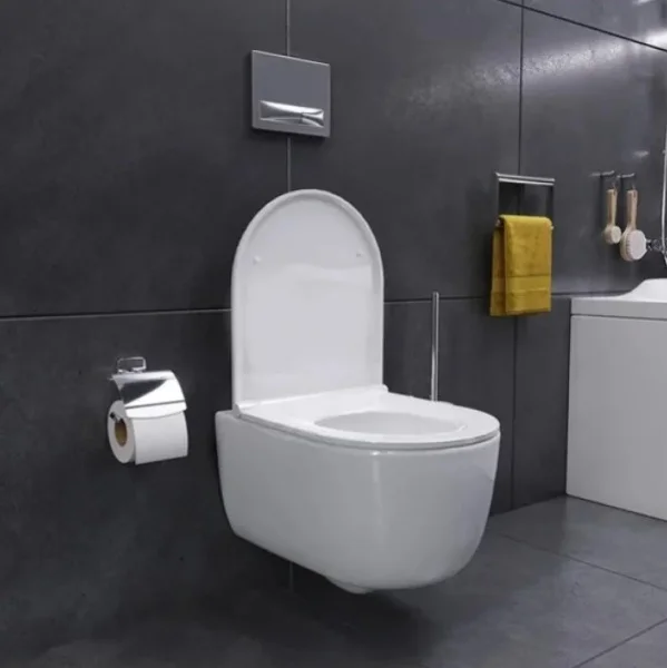 Унитаз подвесной Damixa Sirius DX86C1700SC безободковый, сиденье микролифт, белый