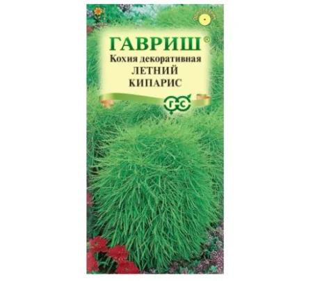 Кохия Летний кипарис (веничная) 0,3 г (Гавриш) Б1121 *1