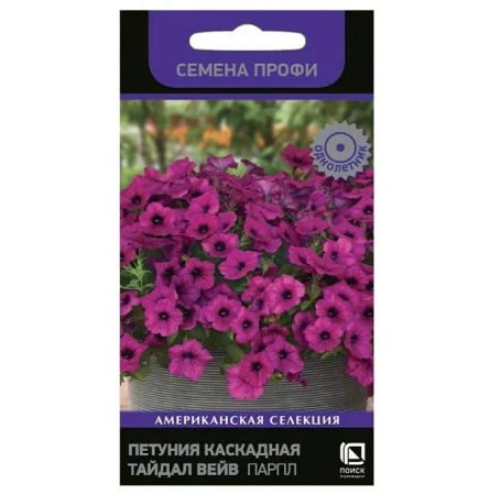Петуния каскадная Тайдал Вейв Парпл, 5 шт (Поиск) V1893 *1