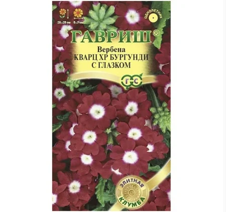 Вербена Кварц XP Бургунди с глазком, гибридная* 4 шт. (Гавриш) R8705 *1