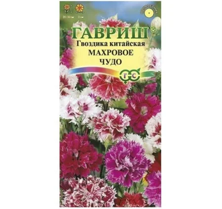 Гвоздика китайская Махровое чудо,* смесь 0,1 г (Гавриш) Б1046 *1