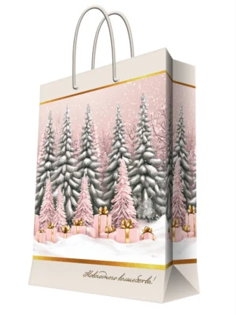 Пакет бумажный для сувенирной продукции с ламинацией, плотность 157г/м2 40,6x48,9x19см 95795FE