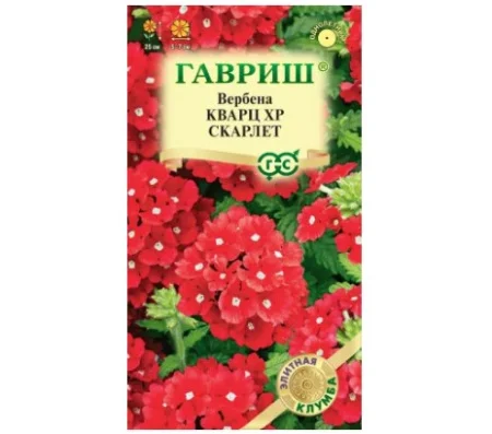 Вербена Кварц XP Скарлет, гибридная* 4 шт. (Гавриш) R8707 *1