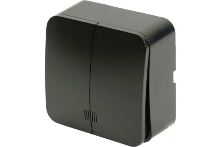 Выключатель 2-кл "София" ОП с индикатором 250В 10А IP20 черный матовый MSW10-21-05 Stekker *1