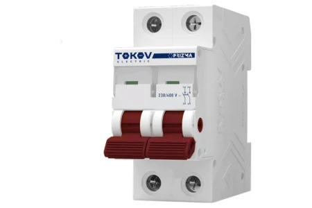 Выключатель нагрузки модульный 2п 63А PRIZMA TOKOV Electric TKE-PZ60-MDSI-2-63