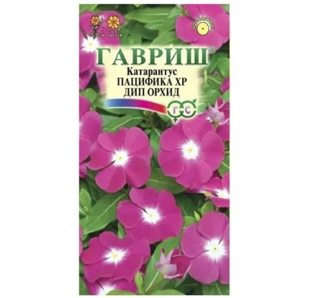 Катарантус Пацифика XP Дип Орхид* 7 шт. (Гавриш) R0293 *1