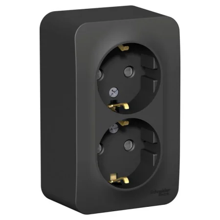 Розетка 2-м ОП BLANCA 16А 250В защ. шторки с заземл. изол. пласт. антрацит SchE BLNRA011216