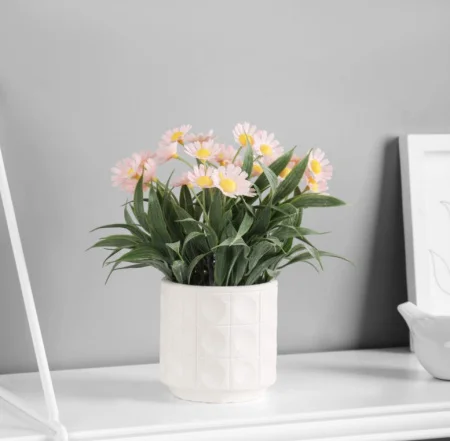 Бонсай "Астра экстра мини" 8х20 см, микс 10325069