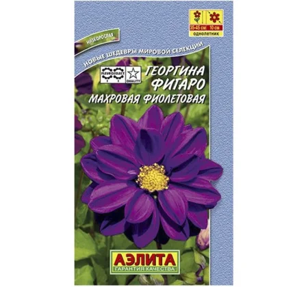 Георгина Фигаро махровая фиолетовая  7шт (Аэлита) Р2422 *1