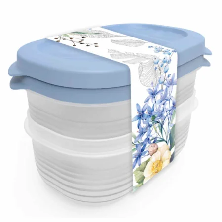 Набор контейнеров Цветущий сад 2шт 0,65л 63928 *1