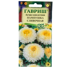 Астра Пампушка сливочная, однолетняя (помпонная) 0,3 г (Гавриш) Р2420 *1