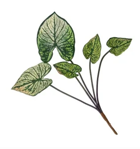 Антуриум искусственный, В 38 см *1