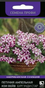 Петуния ампельная F1 Изи Вейв Бургунди Стар, 5 шт (Поиск)