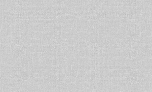 Обои горячего тиснения Erismann 10,05х1,06м Basic Comfi фон серый 60979-05 *1/6