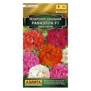 Пеларгония Рафаэлла F1, смесь сортов  5шт (Аэлита)