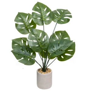 Монстера в керамическом горшке 120х120х700мм