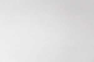 Обои горячего тиснения Palitra Family 10,05х1,06м Malma фон бежевый FM72512-24 *1/6