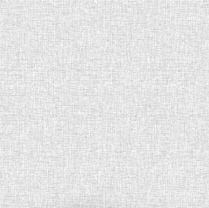 Обои ARTISTYLE 6 ф (цв) 1,06х10 Футер 4062 06