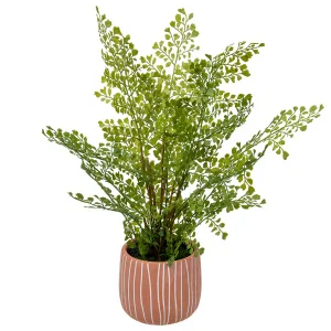 Папоротник курчавый в керамическом горшке 120х120х480мм