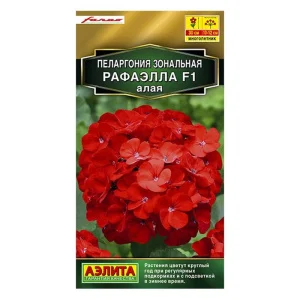 Пеларгония Рафаэлла F1 алая  5шт (Аэлита)