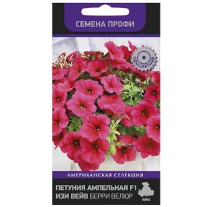 Петуния ампельная F1 Изи Вейв Берри Велюр 5шт. (Поиск) R4552 *1