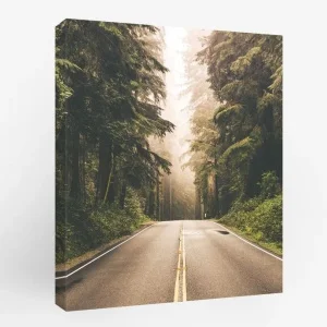 Картина "Недавние дожди" 40х50см kt45-10205 *1