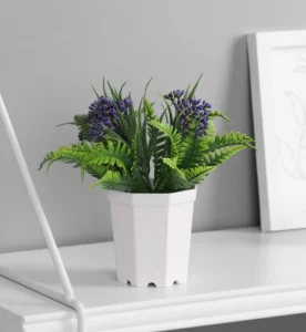 Бонсай в горшке "Папоротник галант элегант" 7х12 см, микс 10325093