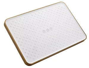 Верхняя лейка, золото BD02-5