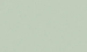 Обои горячего тиснения Erismann 10,05х1,06м Monica фон зеленый 60939-05 *1/6