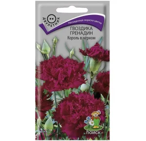 Гвоздика Гренадин Король в черном (Поиск) R8388 *1