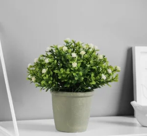 Бонсай в горшке "Цветочная симфония" 8х17 см, микс 9750528