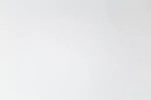 Обои горячего тиснения Palitra Family 10,05х1,06м Malma фон белый FM72512-11 *1/6